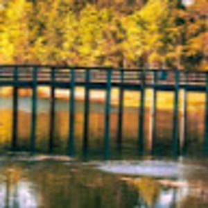 Meet your Posher, Hank